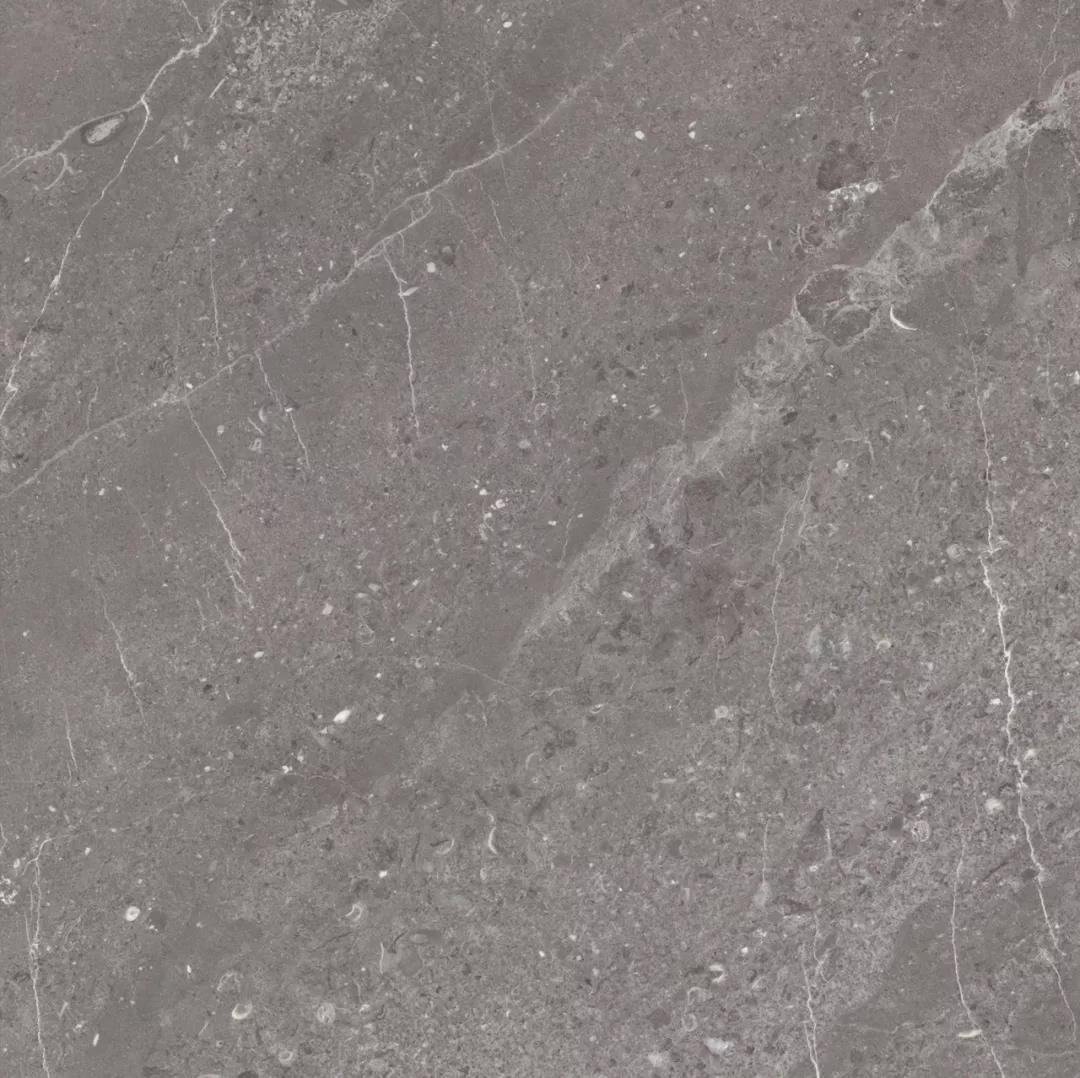 j9����վ�����й����ٷ���վ