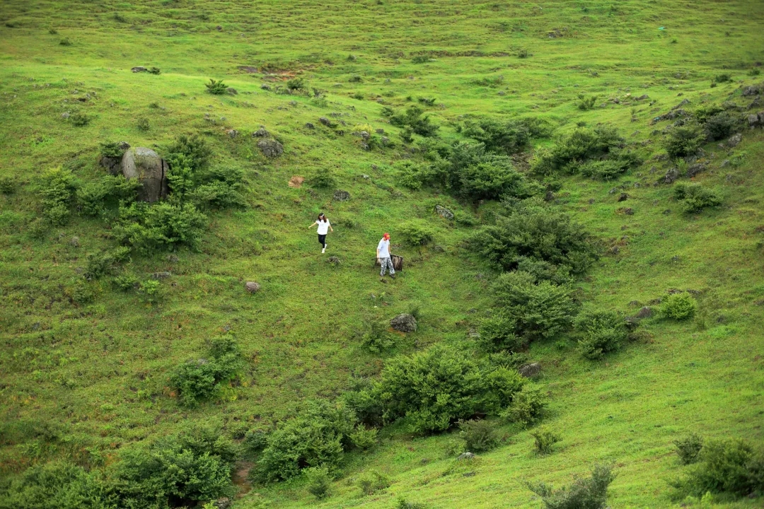 j9����վ�����й����ٷ���վ