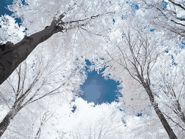 j9����վ�����й����ٷ���վ