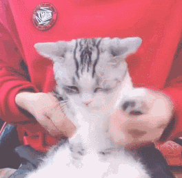 j9����վ�����й����ٷ���վ