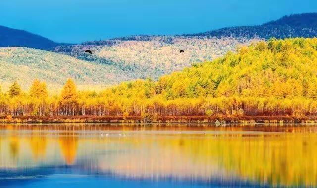 j9����վ�����й����ٷ���վ