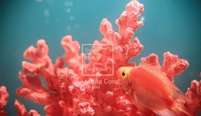 j9����վ�����й����ٷ���վ