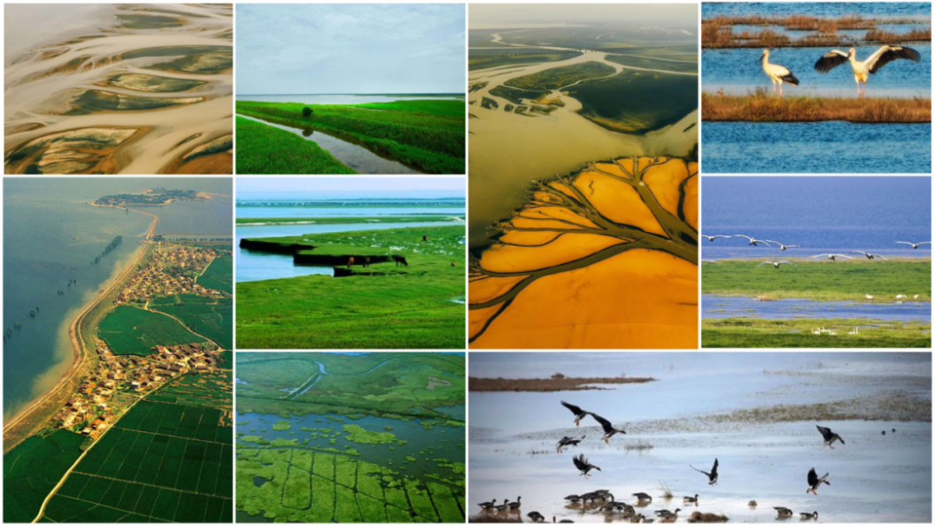 j9����վ�����й����ٷ���վ