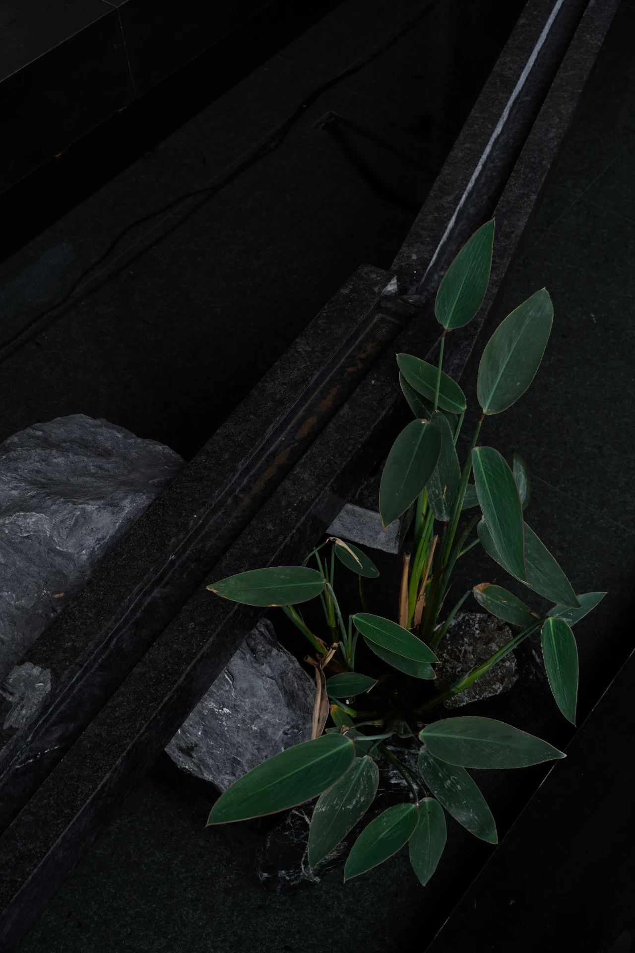 j9����վ�����й����ٷ���վ