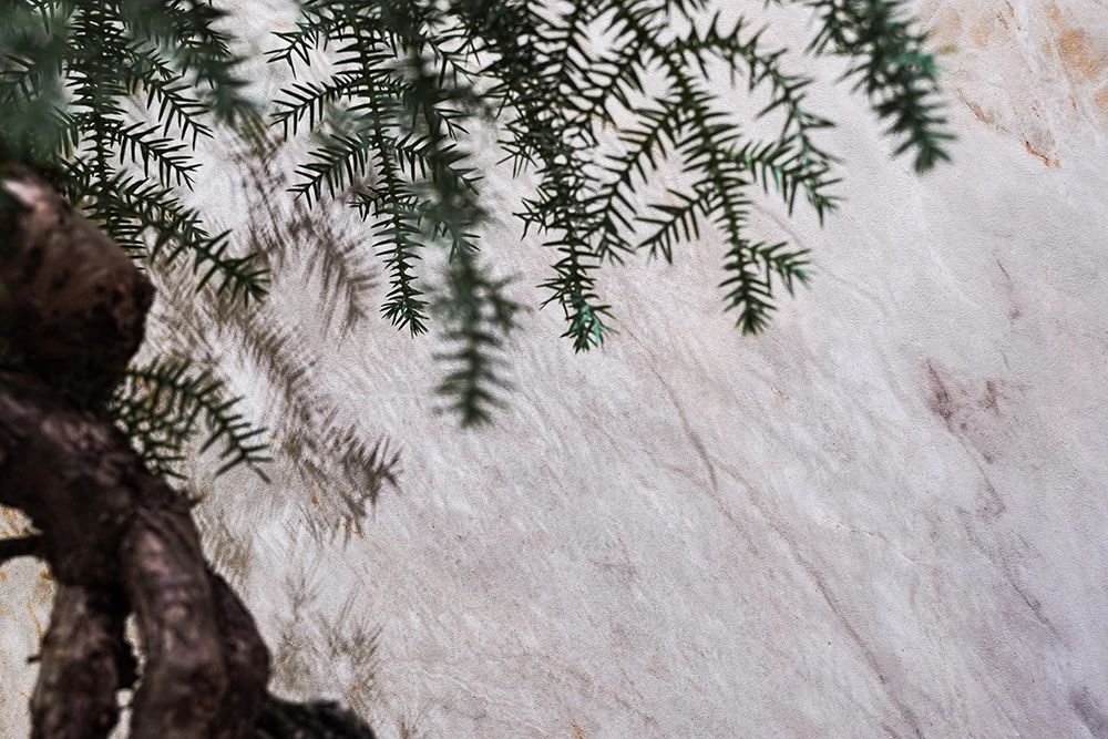 j9����վ�����й����ٷ���վ