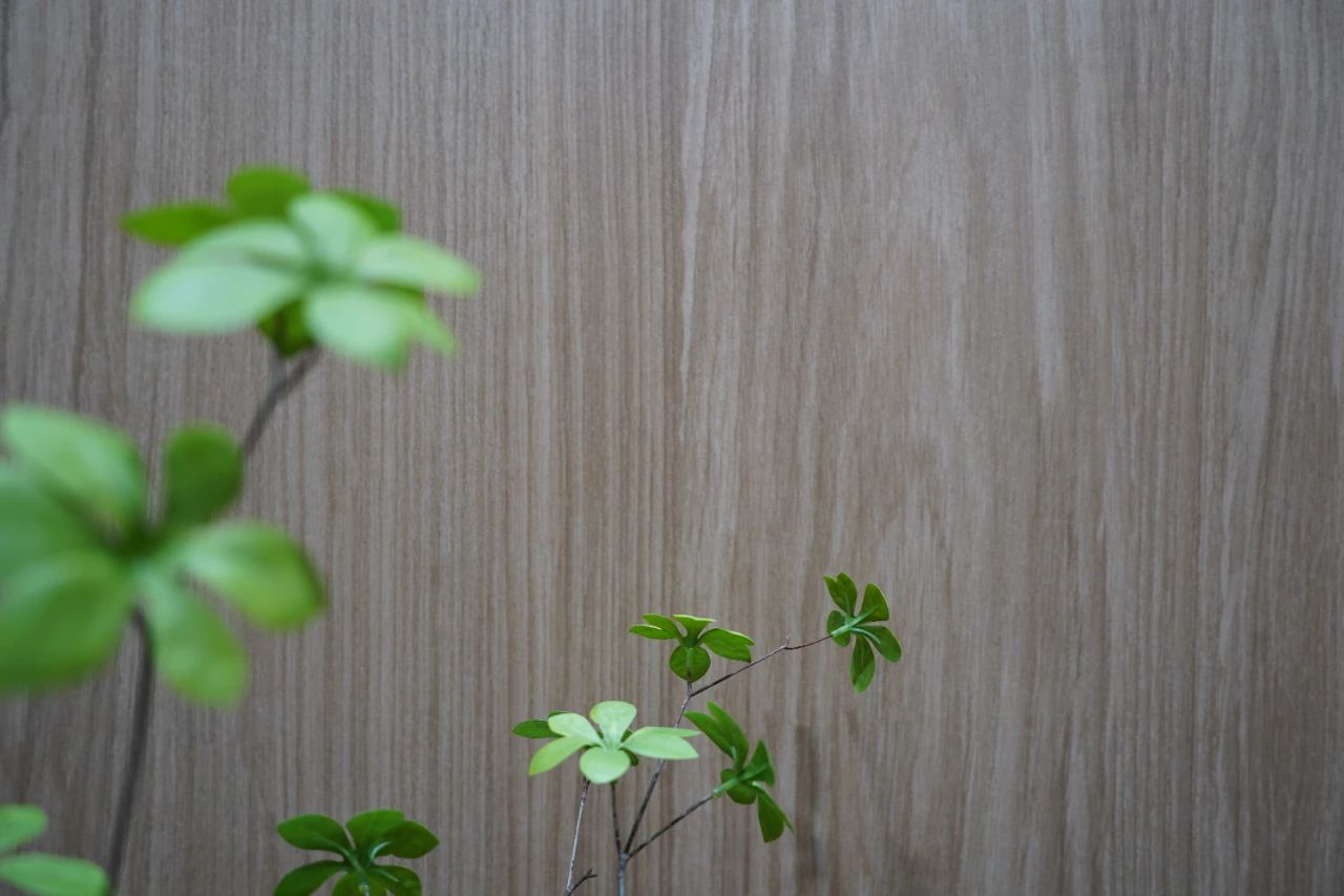 j9����վ�����й����ٷ���վ