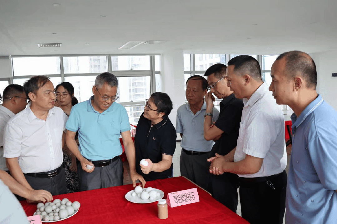 j9����վ�����й����ٷ���վ