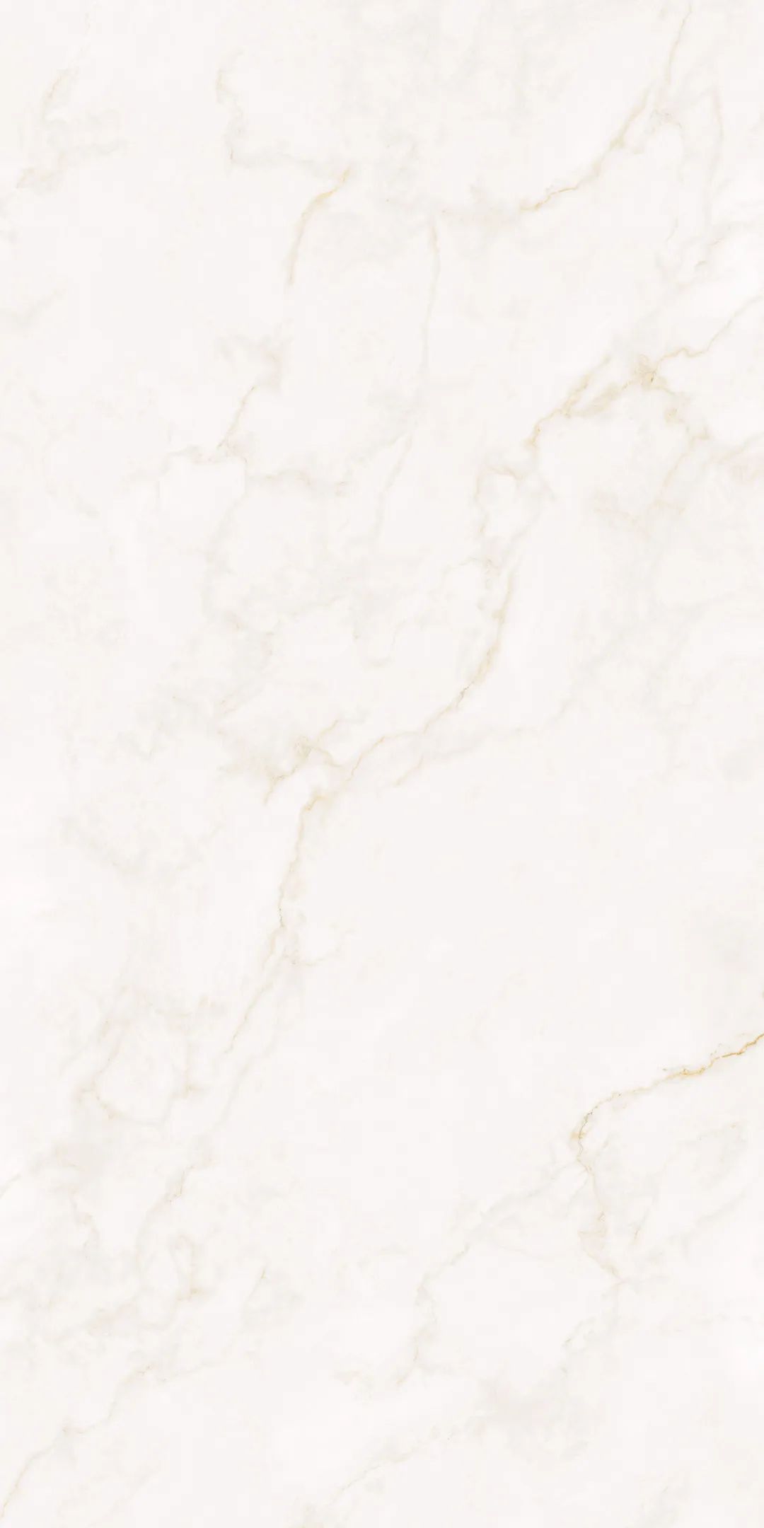 j9����վ�����й����ٷ���վ