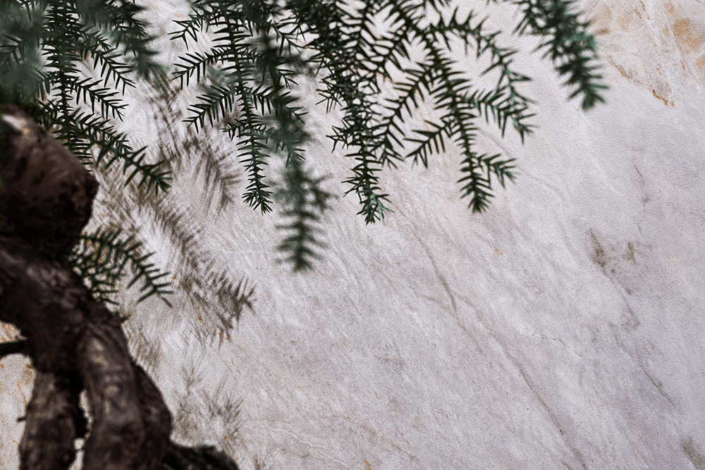 j9����վ�����й����ٷ���վ